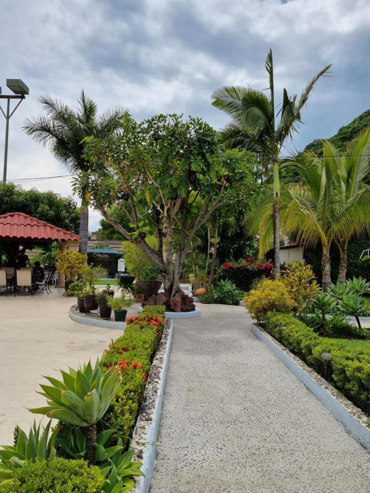 Casa De La Abuela Panzió Ajijic Kültér fotó